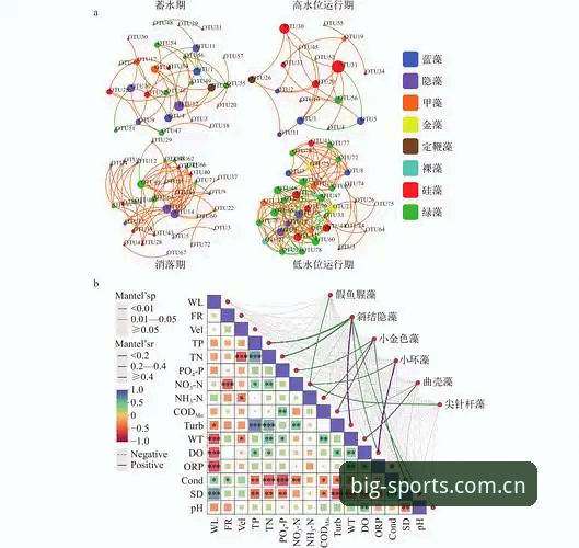 资深技术评测员分享：BSports实时赛况功能深度体验与对比分析