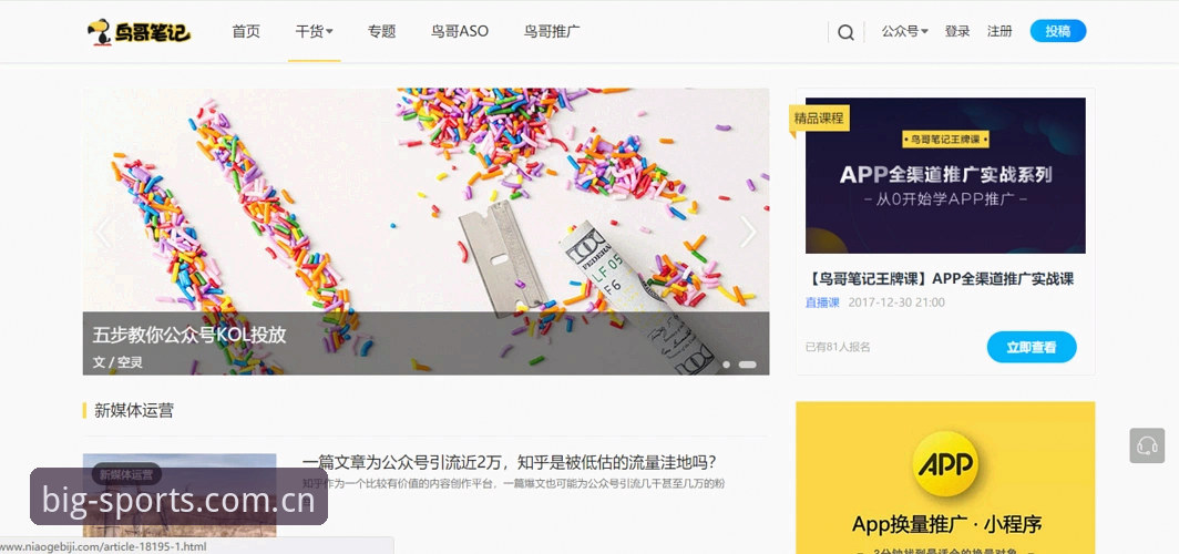 BSports官网实用指南：必博体育平台对比与高效使用必备知识